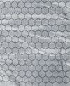 C of C GRAPHENE PUFFER VEST (New)