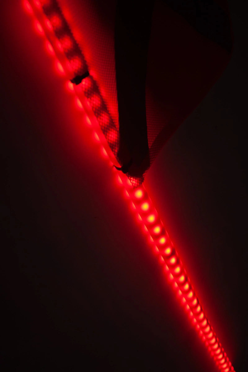 LED Buggy Whip