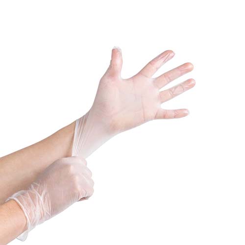 Disposable Gloves | 4 Pack